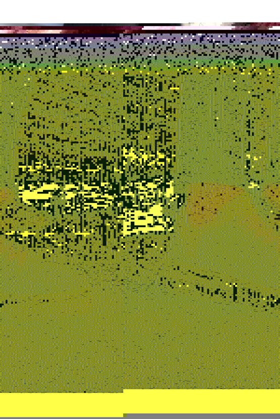 JY204 Flex Bağcıklı Keten Kumaş Erkek Günlük Sneaker Ayakkabı KKT - KahverengiKrem