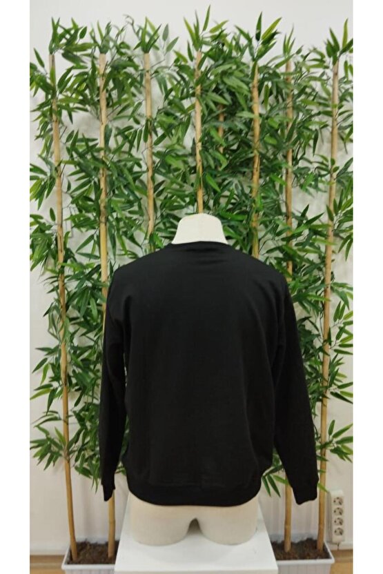 Erkek Uzun Kollu Bisiklet Yaka Paris Yazılı Iki Iplik Bluz