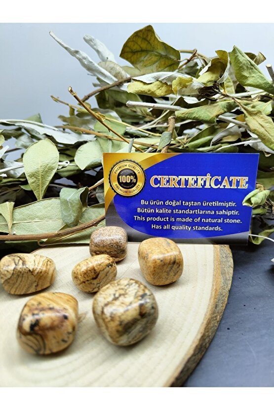 Unisex Bisiklet Yaka Baskılı Oversize T-Shirt - Beyaz