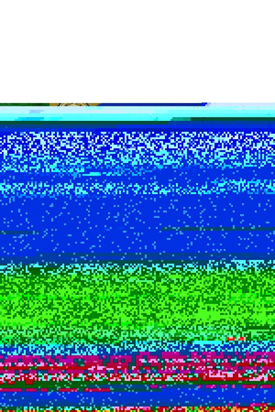 Unisex Bisiklet Yaka Baskılı Oversize Thirt  iyah