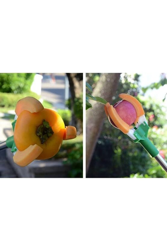 Dal Meyve Toplama Aleti, Hasat Toplama Aparatı, 150 cm