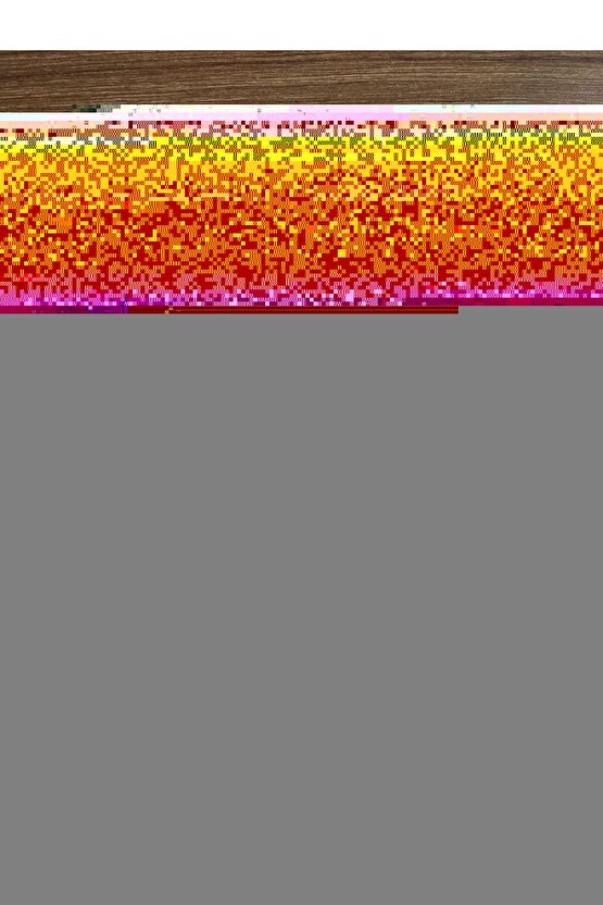 Basketbol Ayakkabısı Genetics Marcus Smart 31049701