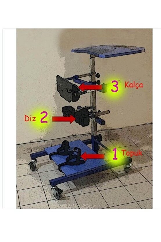 Dik Konumlandırma Cihazı Yetişkin KULLANICI BOYU 120-150 CM