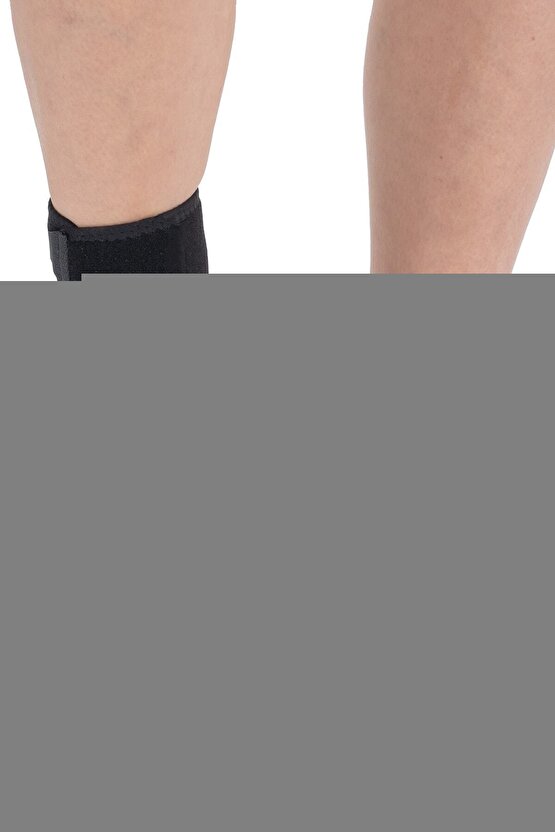 Labvet Leo 360 Hareketli Walker