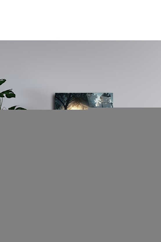 Comfort Plus DM-312 Centro 45 cm Özellikli Tekerlekli Sandalye