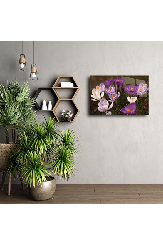 W1126 Klozet Yükseltici Kapaklı (Taharet Musluklu)