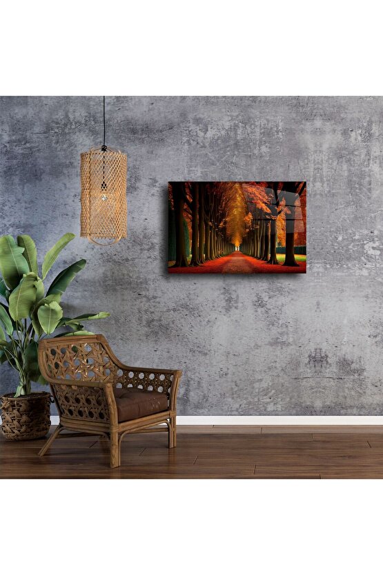 Kırmızı Yapraklı Ağaç Tüneli Cam Tablo