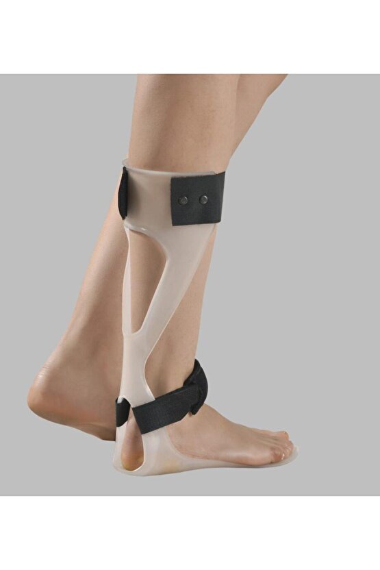 Afo - 2 No (39-40) Sağ