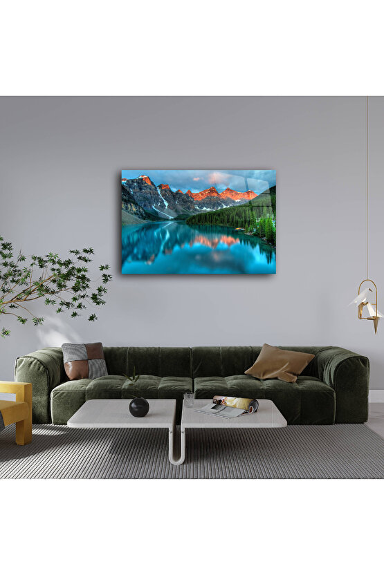 OctaCare Hidrofil Sargı Bezi 15 cm x 100 m 1 Adet