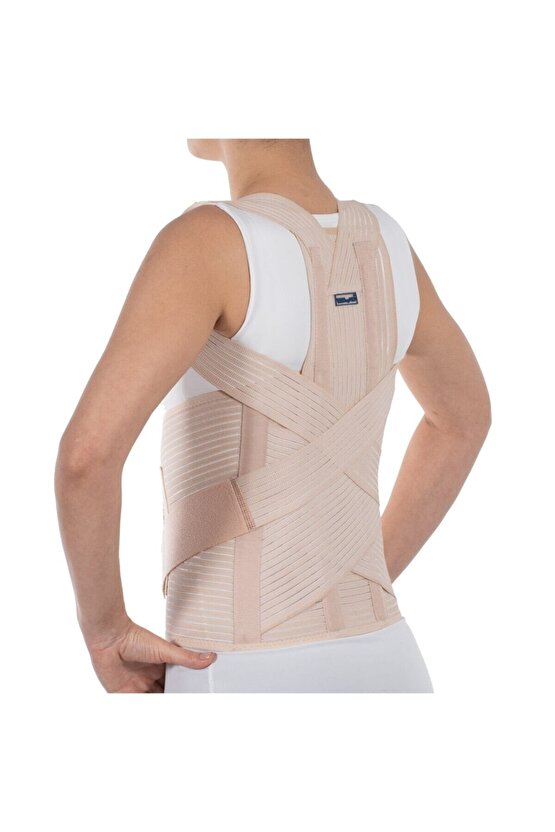 Torakolomber Korse ( Dorselomber Korse) Orjinal