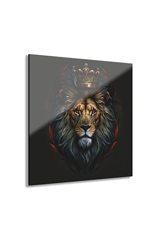 Ağrı Hafifletici Mentollü Soğuk Bandaj 10 cm x 2,6 m