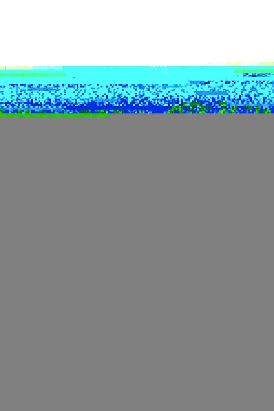 Ccl2 Külotlu Burnu Açık Hamile Çorabı (Bej) 2 NUMARA