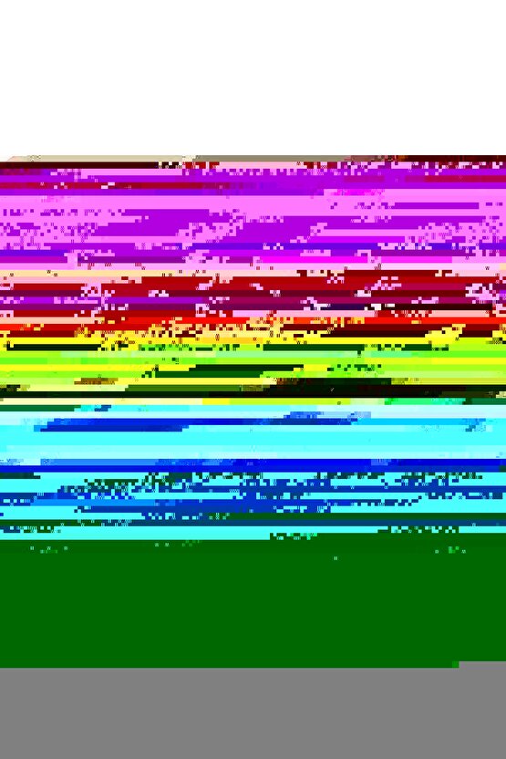 Klozet Destek Barı | Yükseklik Ayarlı, Ergonomik Tutunma Barı DM-73