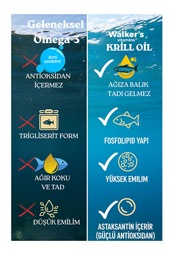 Krill Oil Omega 3 Sitikolin Lutein Q10 içeren Vitamin