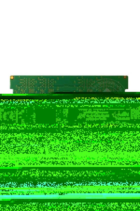 Kanarya muhabbet suluğu