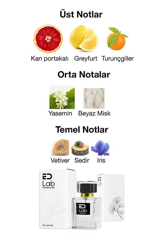 FRAGRANCES EDLW040 Kadın Parfüm 50 ml