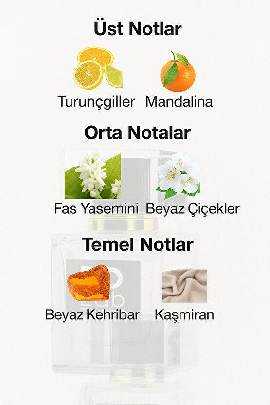 Fragrances EDLW080 Kadın Parfüm 50 ml