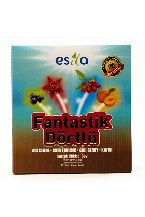 Fantastik Dörtlü Yaz Çayı 45 Poşet
