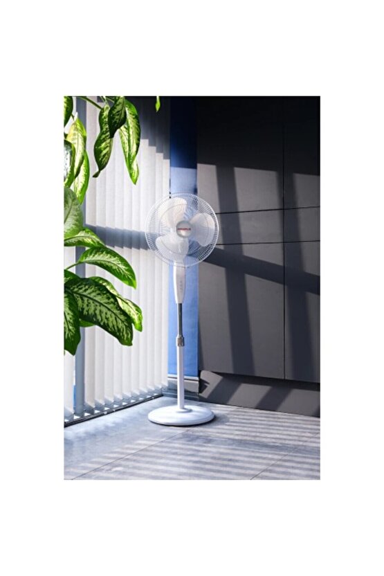 Maximus Merkür 16 Vantilatör Siyah