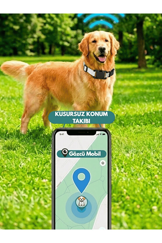 Kedi Köpek Takip Cihazı Android IOS Uyumlu Pet Evcil Hayvan Tasması Sim Kartsız Akıllı Takip Cihazı