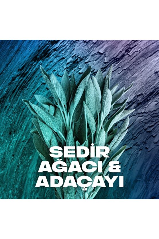 Erkek Deodorant & Bodyspray Apollo 48 Saat Etkileyici Koku 150 ML