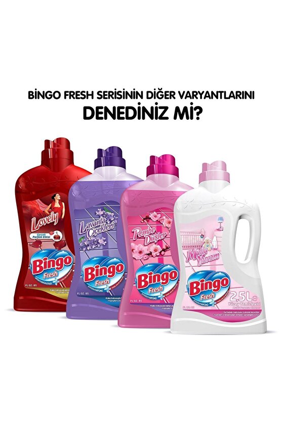 Fresh Yüzey Temizleyici 2,5 lt Masal Ekonomi Paketi 4lü