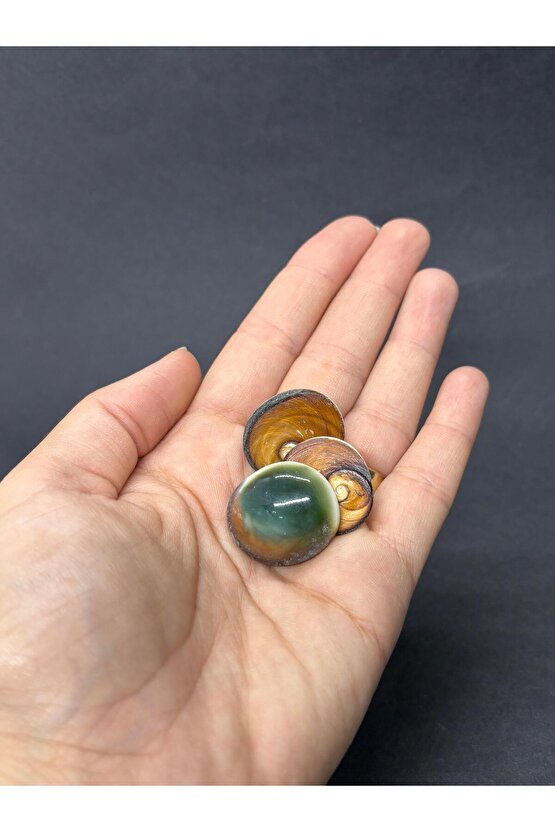 FİLİPİNLER YEŞİL YILANCIK-3 ADET