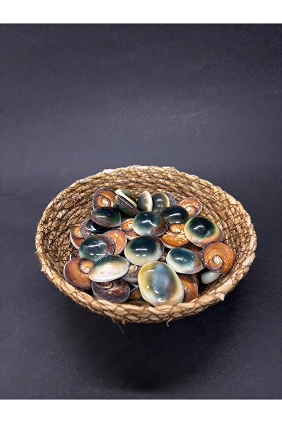 FİLİPİNLER YEŞİL YILANCIK-3 ADET