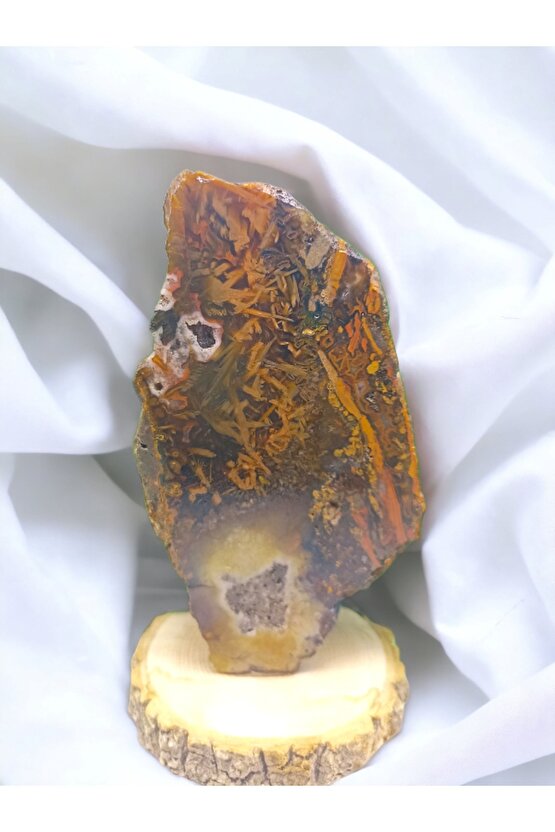 DİKENLİ FOSİL AKİK, DOĞAL TAŞ, DEKORASYON STANDLI PARÇA(SERTİFİKALI)