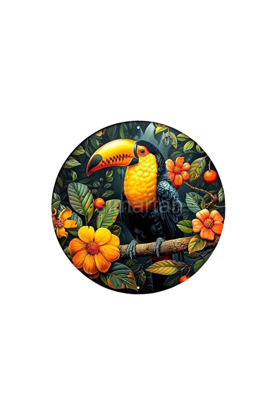 Şans Getirdiğine İnanılan , Uğurlu Tukan Kuşu Duvar Süsü, Dekoratif Duvar Süsü