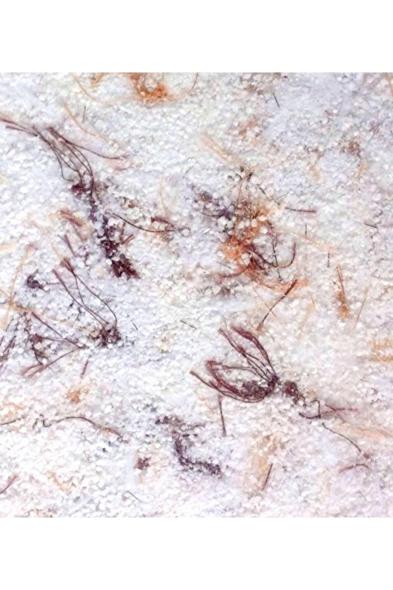 Organik Ipek Sıva - Dekoratif Yalıtım Sıvası - Ses & Isı & Nem Yalıtımı - Izo-070 - 4 M2