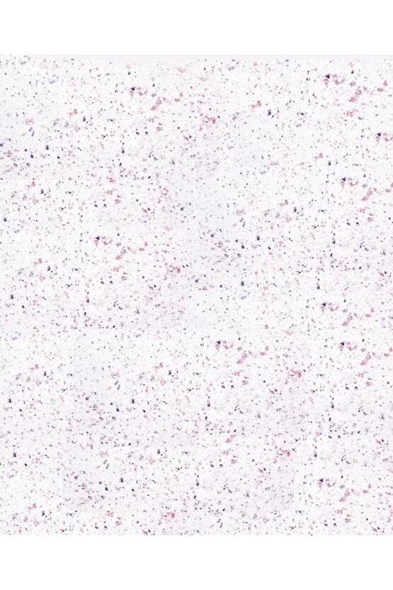 Organik Ipek Sıva - Dekoratif Yalıtım Sıvası - Ses & Isı & Nem Yalıtımı - Izo-045 - 4 M2