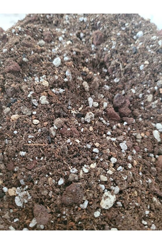 Kaktüs Sukulent Toprağı 1 Litre- Yüksek Kalite, Ithal Torf Karışımlı