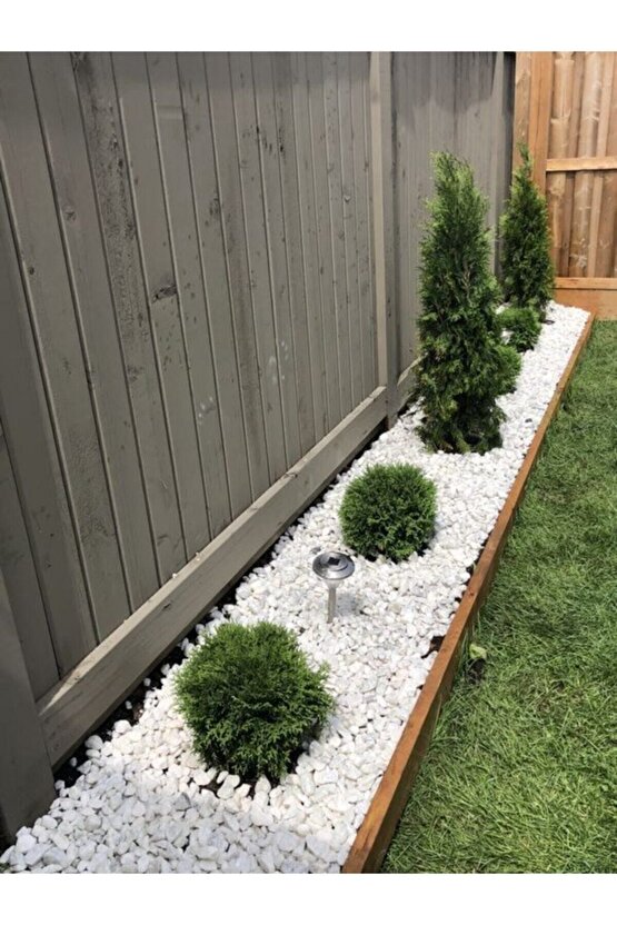 Beyaz Dolomit Taş 1kg 3-6cm Doğal Renkli Peyzaj Taşı Dekoratif Akvaryum Bahçe Süs Taşları