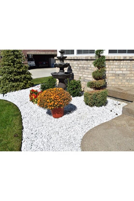 Beyaz Dolomit Taş 1kg 3-6cm Doğal Renkli Peyzaj Taşı Dekoratif Akvaryum Bahçe Süs Taşları