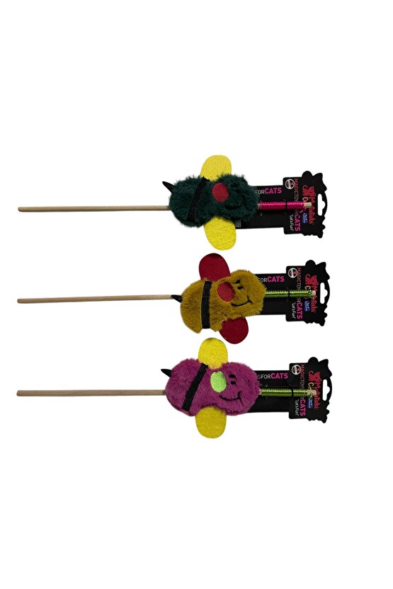 OLTA ARI (HIŞIRTILI,ÇINGIRAKLI ,MATATABİ Lİ,MUHTEŞEM KUMAŞLI KEDİ OLTASI)