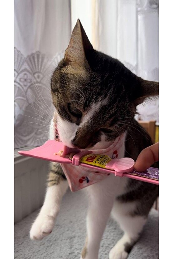 Magıc Spoon Kediköpek Krema Ödül Maması Yedirme Kaşığı(KOLAY KAŞIK)