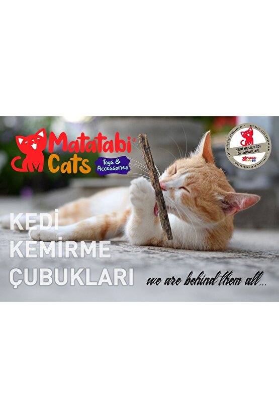 Matatabi Stick 1 Adet Doğal Kedi Oyuncağı Çiğneme Çubuğu