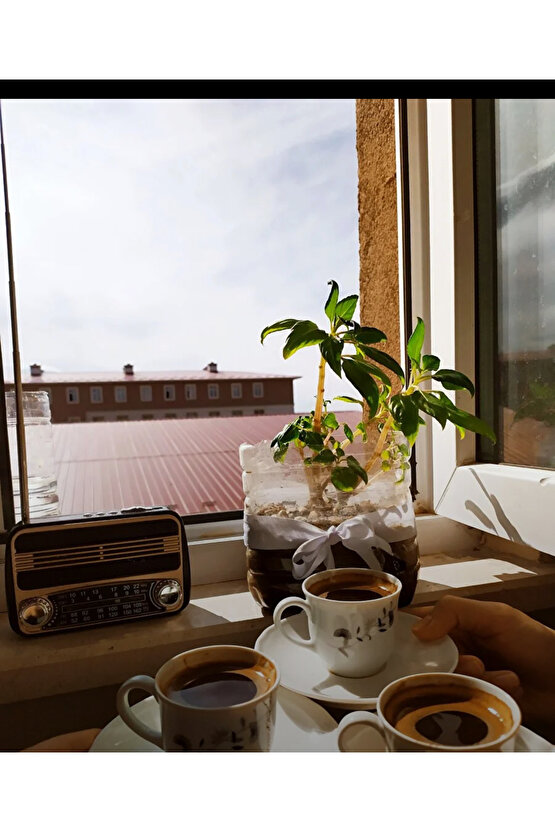 Nostaljik Bluetoothlu Retro Sunumluk Taşınabilir Radyo Müzik Kutusu