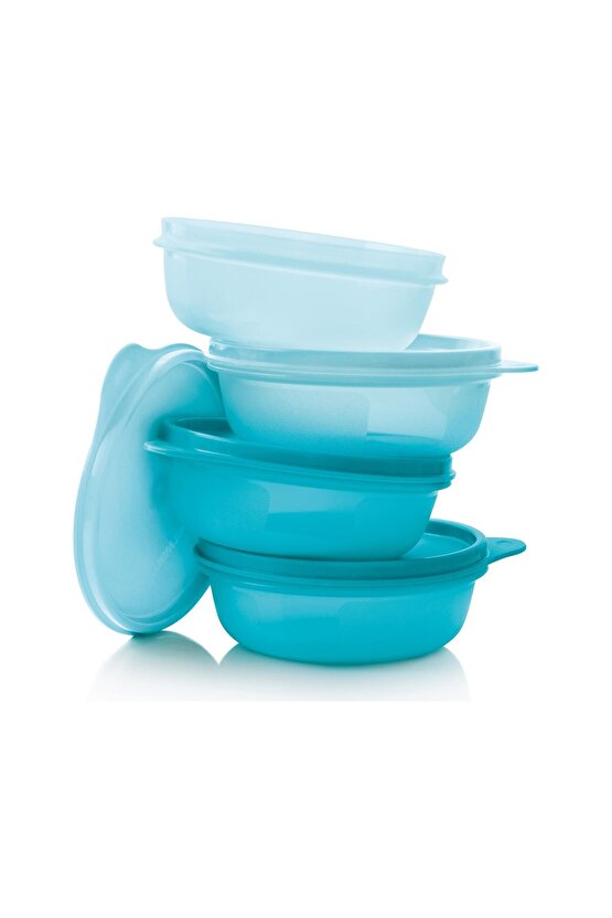 Saklama ve Servis Kabı 4lü Set 300 ml