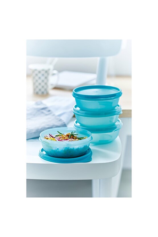 Saklama ve Servis Kabı 4lü Set 300 ml