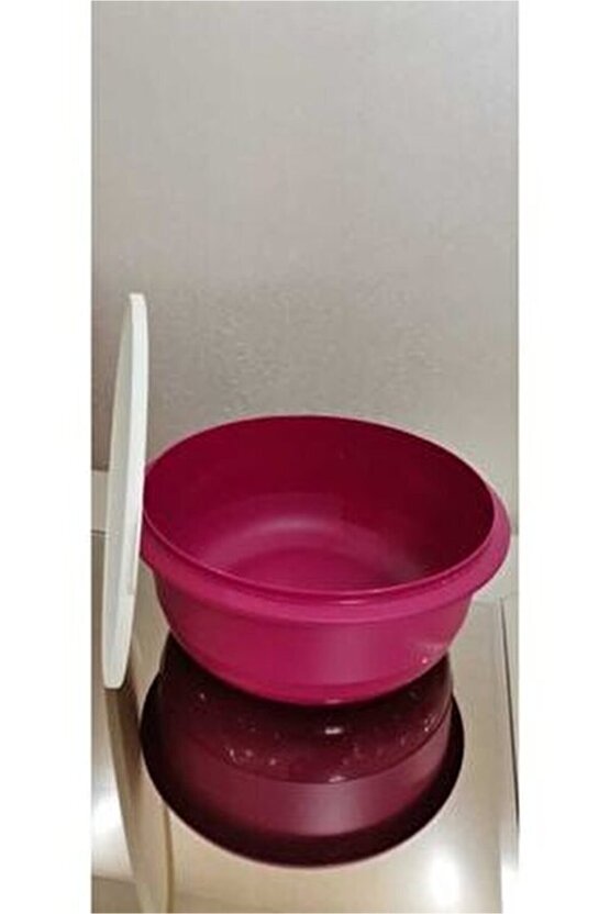 Miksim 9.5 Litre Fuşya Saklama Kabı