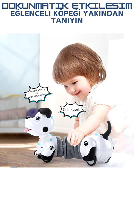 Oyuncak Uzaktan Kumandalı Işıklı ve Sesli Sevimli Akıllı Köpek Uzayıp Kısalabilen Aktivite Oyuncağı