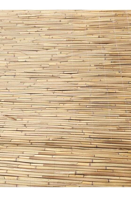 Kamış Çit Hasır Çit 1x4,5 Metre Eni 1 Metre Uzunluk 4,5 Metre