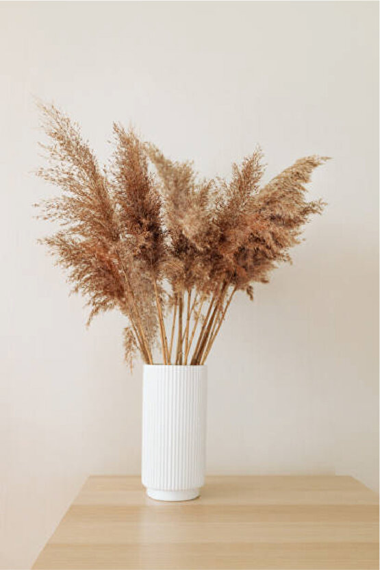 Kuru Çiçek Pampas 20 Adet 100 cm M-100