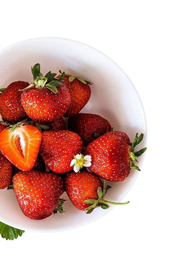 Blodbok Tealight Mum, Parlak Pembe, 3.5 Saat Çilek Kokulu 30lu