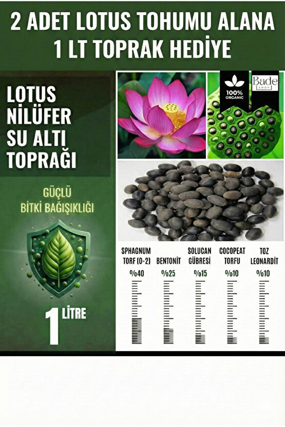 Lotus Çiçeği (Nilüfer) Tohumu - 2 Adet | Toprak Hediyeli (1 LT Su Altı Torf Karışımı)