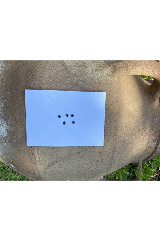 Bordo Hatmi Çiçeği Tohumu 5 Adet