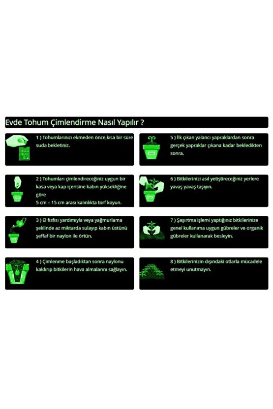 Mor Fesleğen Reyhan Tohumu-1 Gram