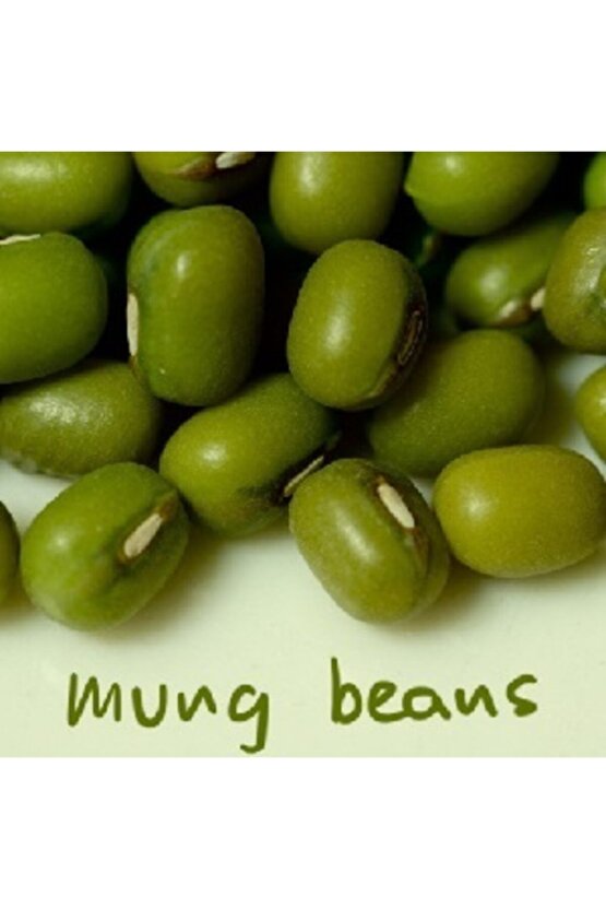 Maş Fasulye Tohumu (20 Adet Tohum)